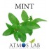 MINT  10ml