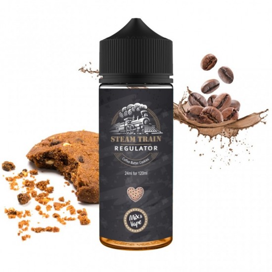 STEAM TRAIN REGULATOR 120ml